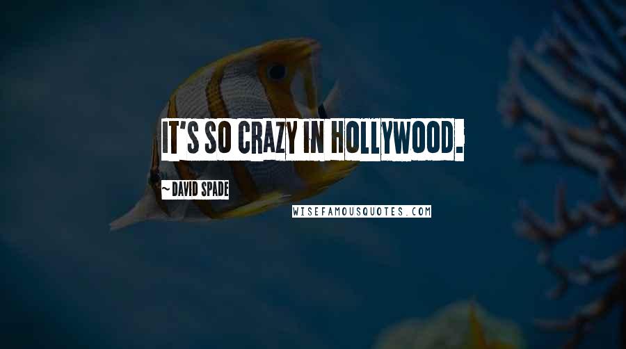 David Spade Quotes: It's so crazy in Hollywood.