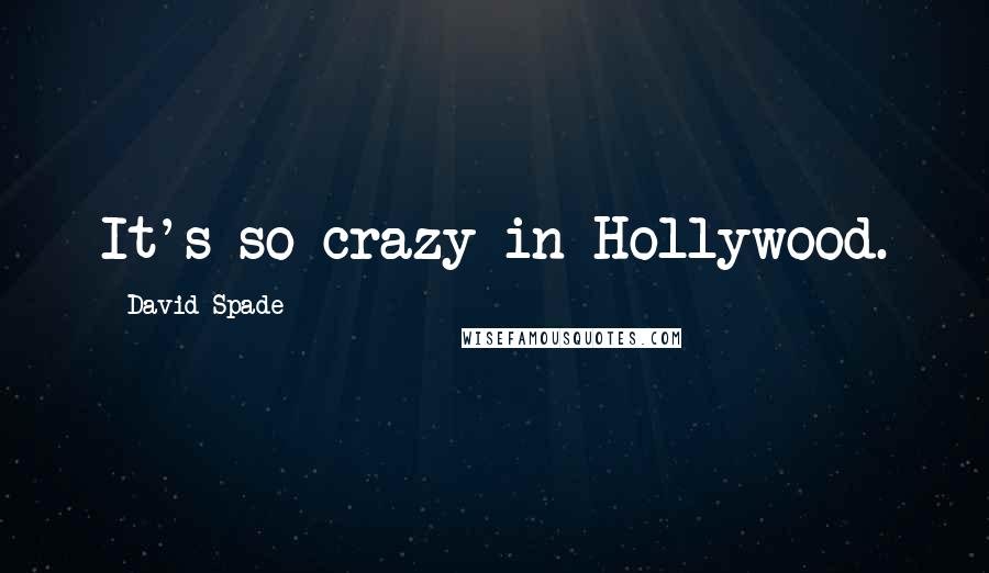 David Spade Quotes: It's so crazy in Hollywood.