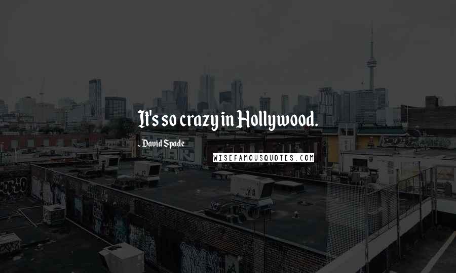 David Spade Quotes: It's so crazy in Hollywood.