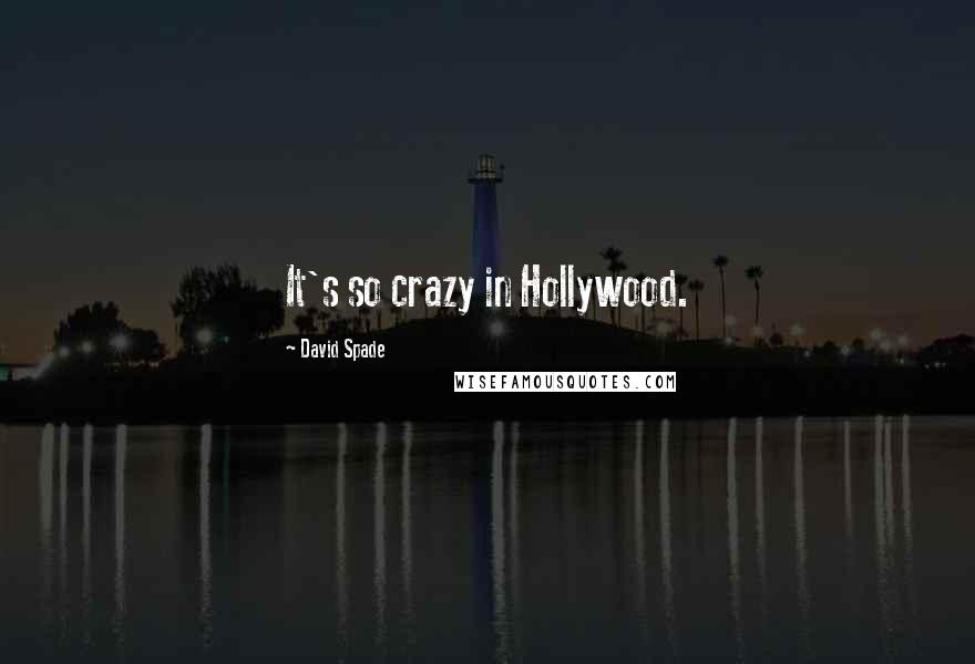 David Spade Quotes: It's so crazy in Hollywood.