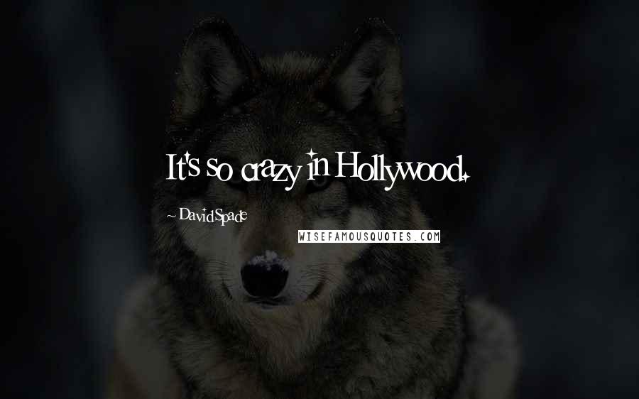 David Spade Quotes: It's so crazy in Hollywood.