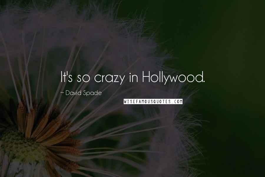 David Spade Quotes: It's so crazy in Hollywood.