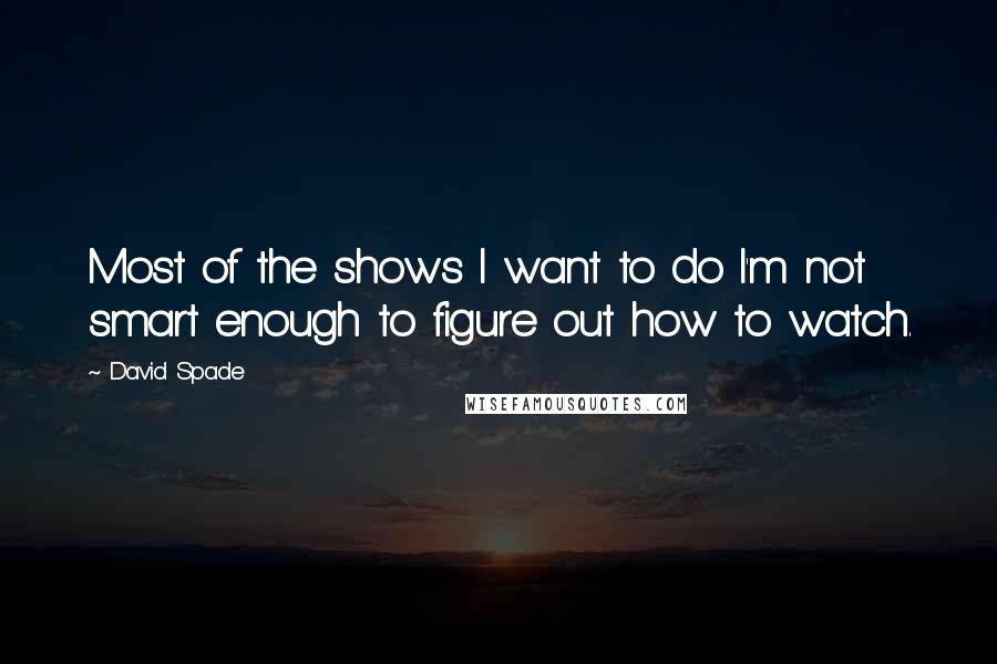 David Spade Quotes: Most of the shows I want to do I'm not smart enough to figure out how to watch.