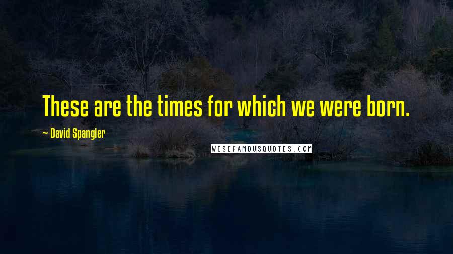 David Spangler Quotes: These are the times for which we were born.