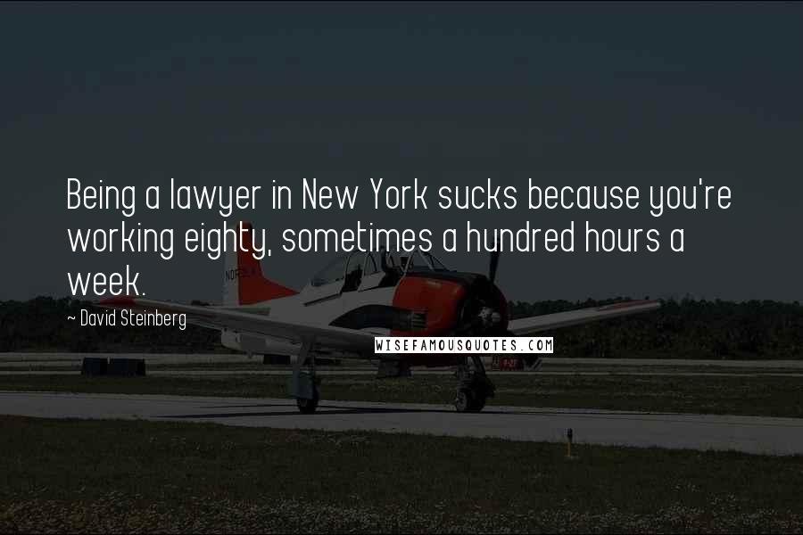 David Steinberg Quotes: Being a lawyer in New York sucks because you're working eighty, sometimes a hundred hours a week.