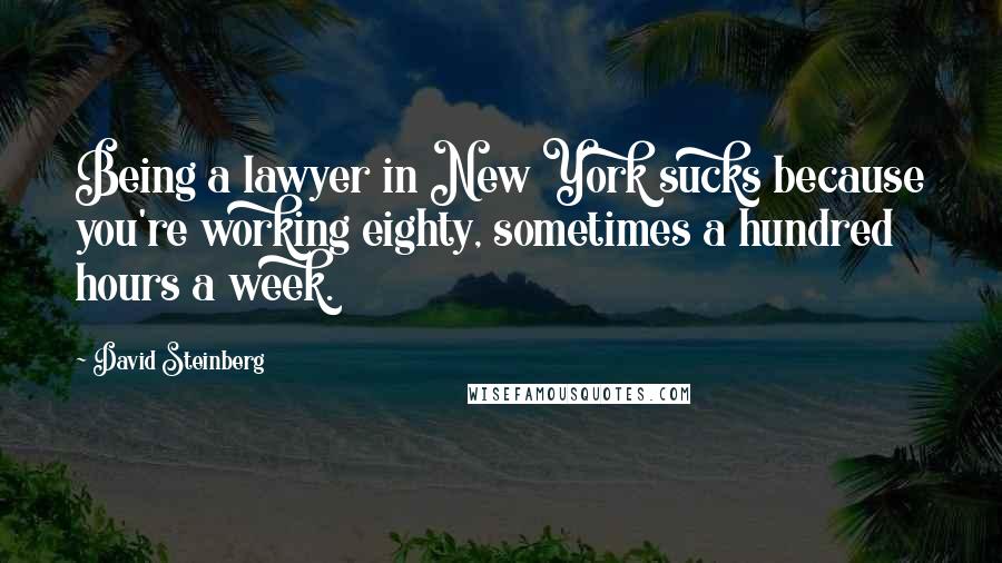 David Steinberg Quotes: Being a lawyer in New York sucks because you're working eighty, sometimes a hundred hours a week.