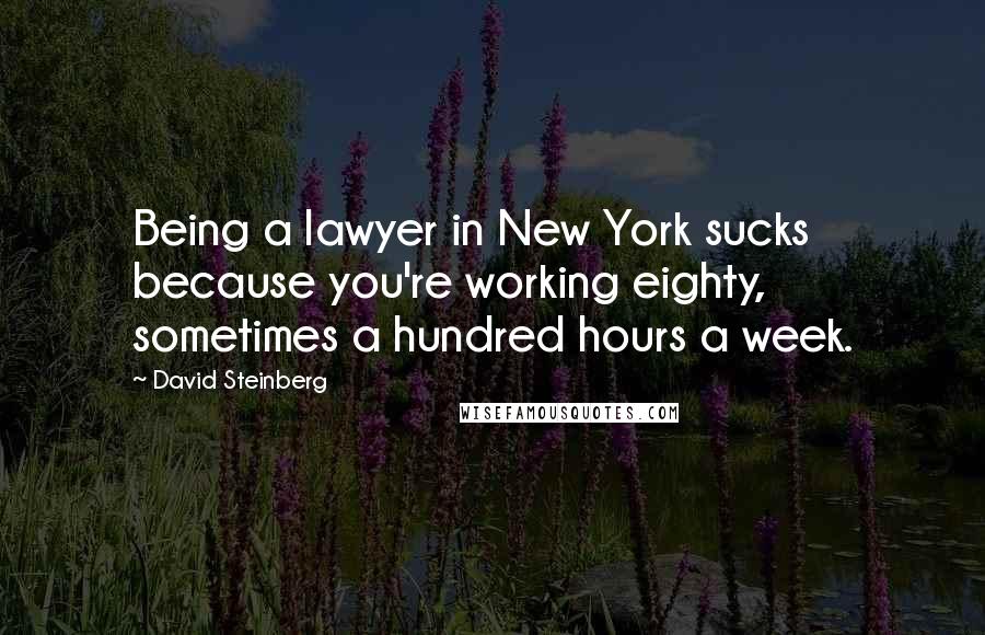 David Steinberg Quotes: Being a lawyer in New York sucks because you're working eighty, sometimes a hundred hours a week.