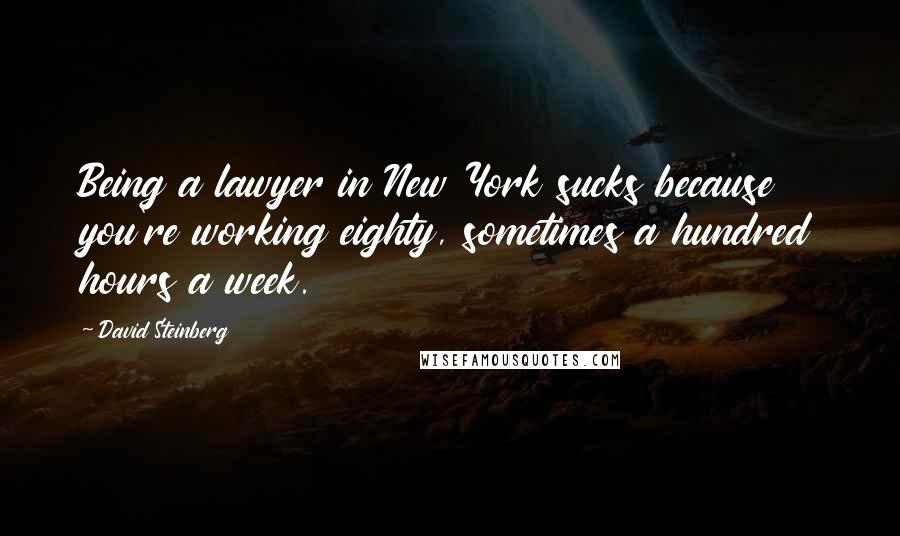 David Steinberg Quotes: Being a lawyer in New York sucks because you're working eighty, sometimes a hundred hours a week.