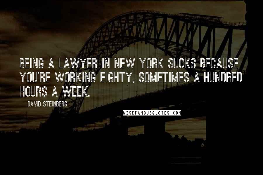 David Steinberg Quotes: Being a lawyer in New York sucks because you're working eighty, sometimes a hundred hours a week.
