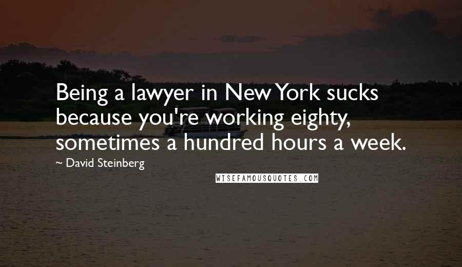 David Steinberg Quotes: Being a lawyer in New York sucks because you're working eighty, sometimes a hundred hours a week.