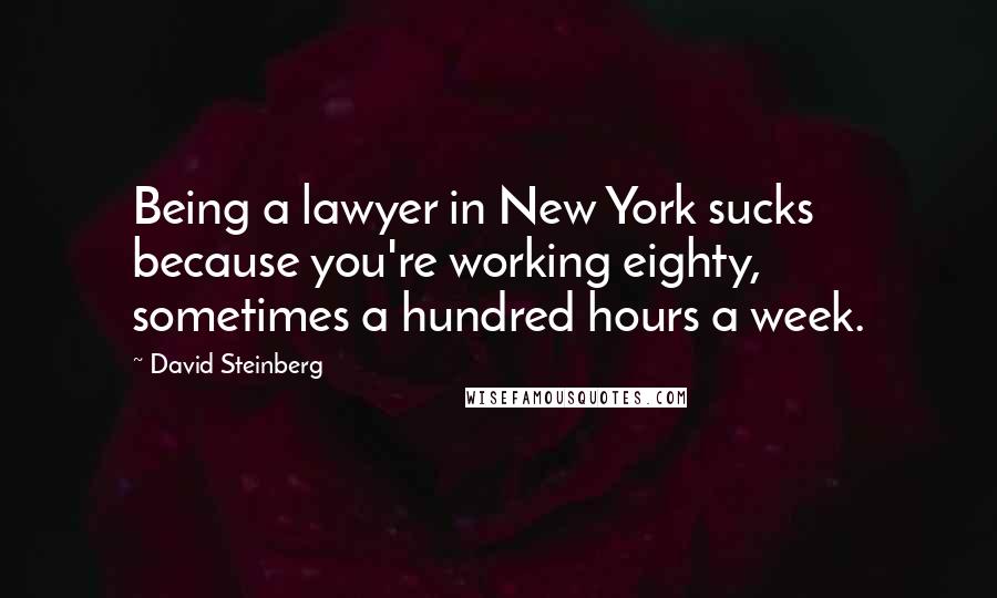 David Steinberg Quotes: Being a lawyer in New York sucks because you're working eighty, sometimes a hundred hours a week.