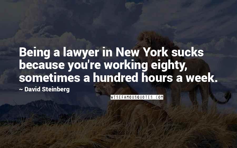 David Steinberg Quotes: Being a lawyer in New York sucks because you're working eighty, sometimes a hundred hours a week.