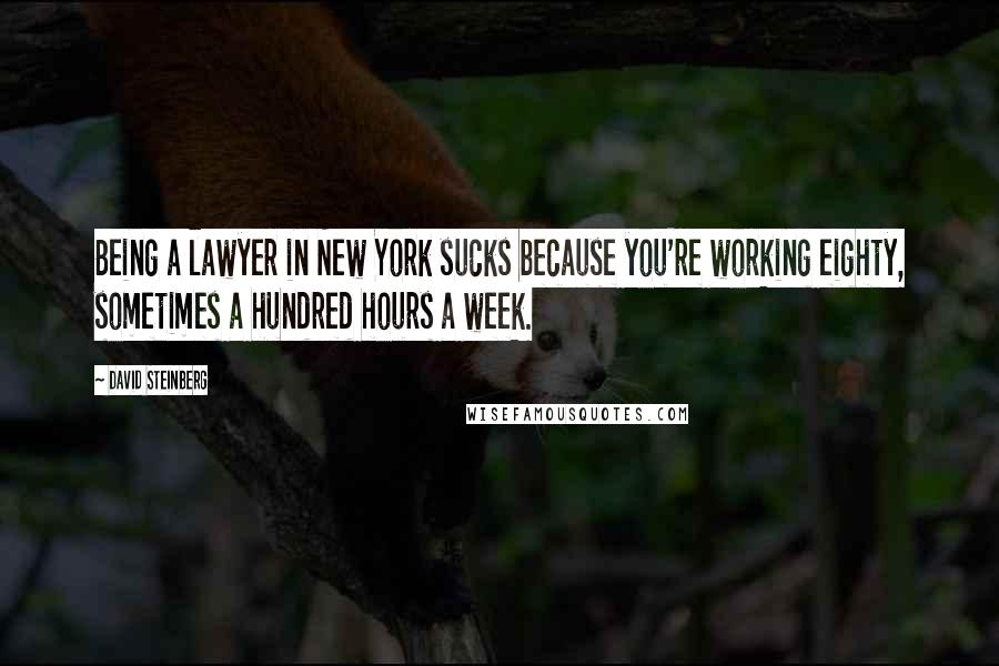 David Steinberg Quotes: Being a lawyer in New York sucks because you're working eighty, sometimes a hundred hours a week.