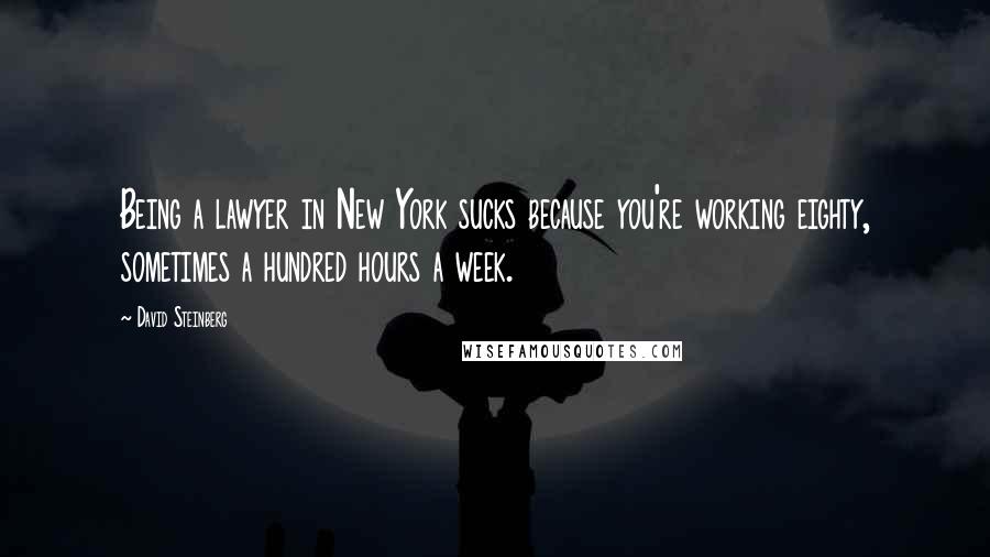 David Steinberg Quotes: Being a lawyer in New York sucks because you're working eighty, sometimes a hundred hours a week.