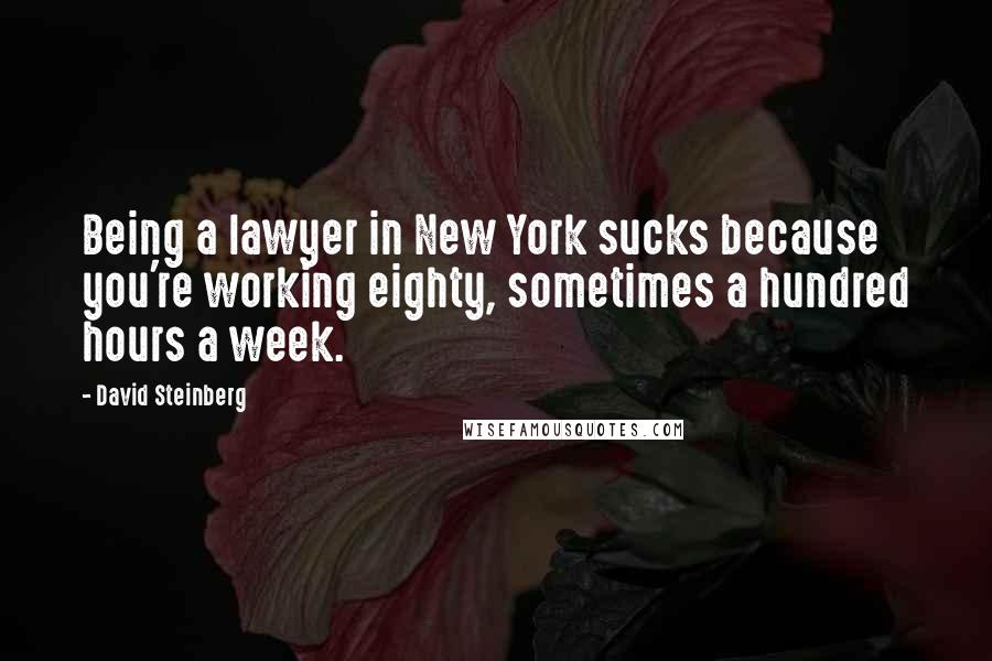 David Steinberg Quotes: Being a lawyer in New York sucks because you're working eighty, sometimes a hundred hours a week.