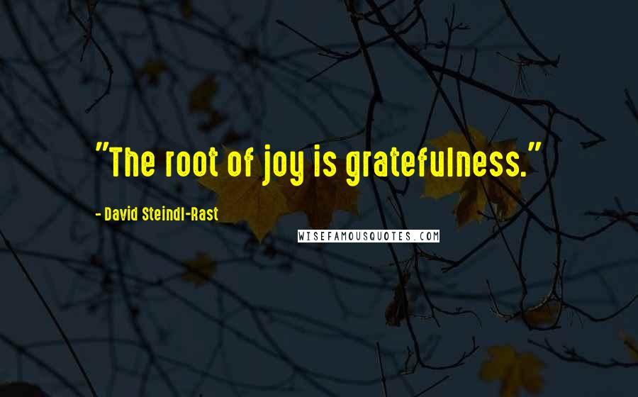 David Steindl-Rast Quotes: "The root of joy is gratefulness."