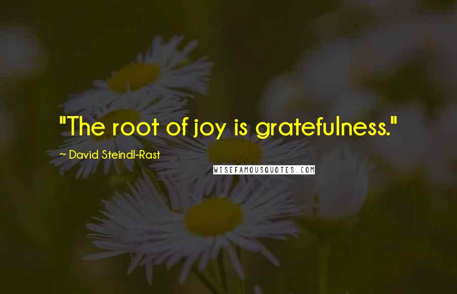 David Steindl-Rast Quotes: "The root of joy is gratefulness."