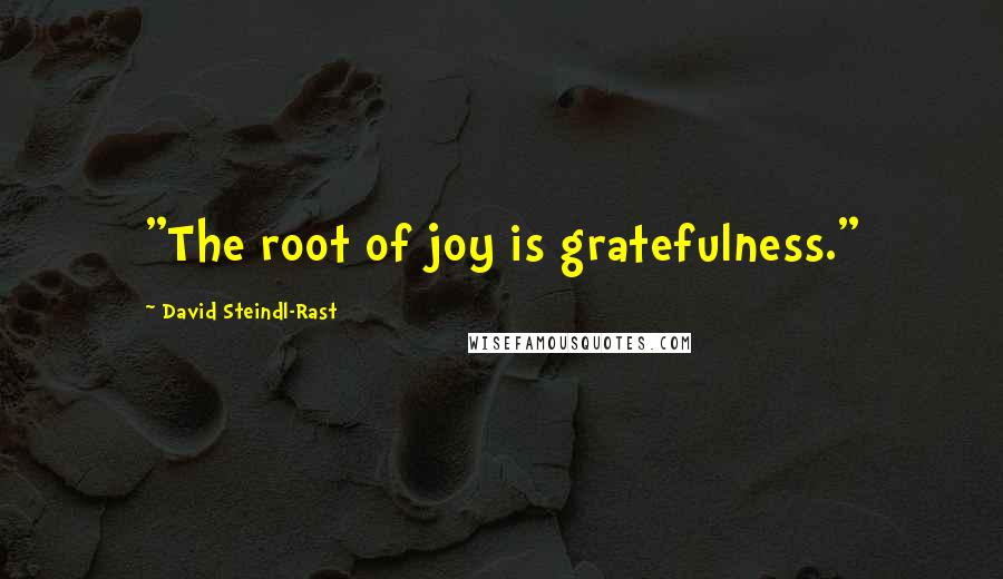 David Steindl-Rast Quotes: "The root of joy is gratefulness."