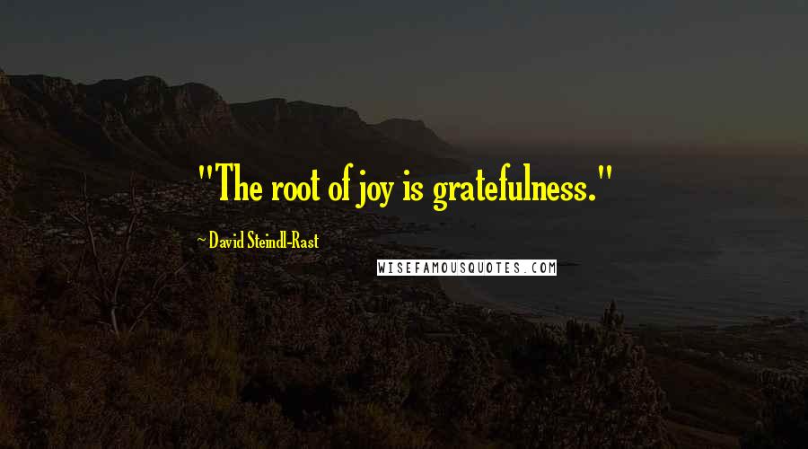 David Steindl-Rast Quotes: "The root of joy is gratefulness."