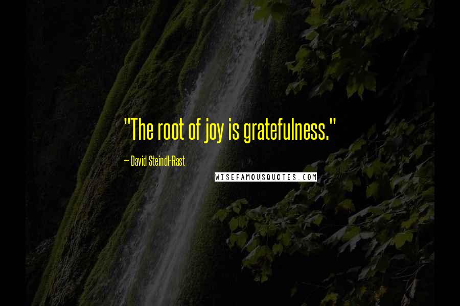 David Steindl-Rast Quotes: "The root of joy is gratefulness."