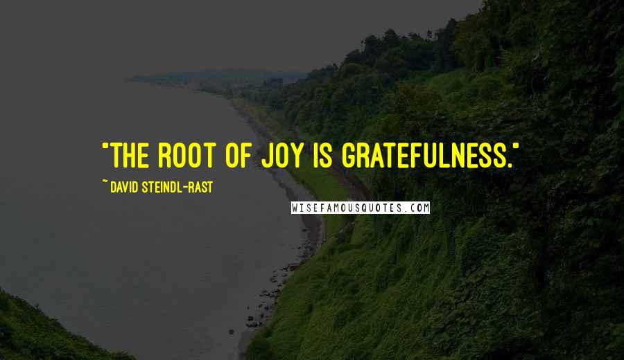 David Steindl-Rast Quotes: "The root of joy is gratefulness."