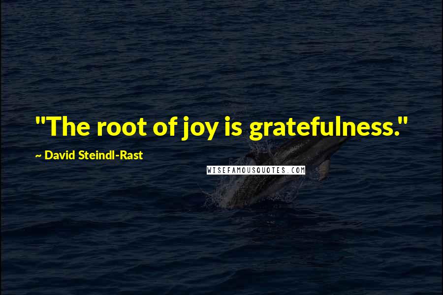 David Steindl-Rast Quotes: "The root of joy is gratefulness."