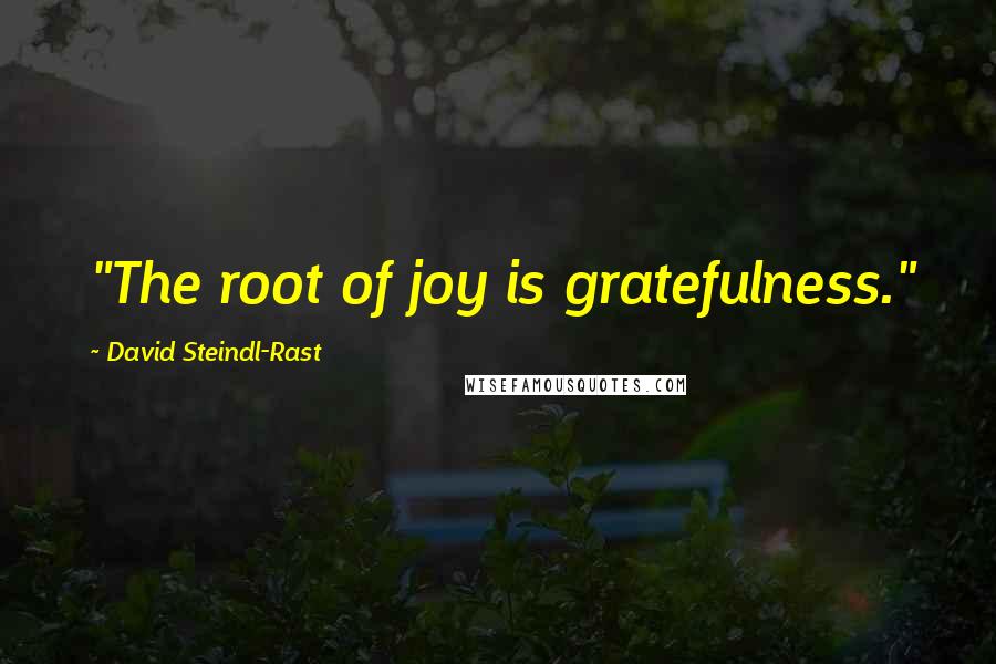 David Steindl-Rast Quotes: "The root of joy is gratefulness."