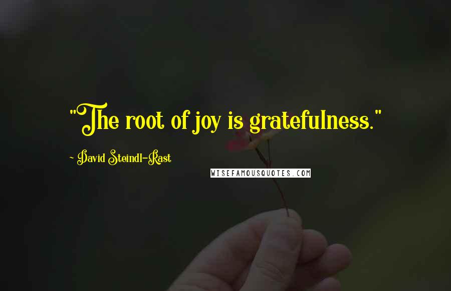 David Steindl-Rast Quotes: "The root of joy is gratefulness."