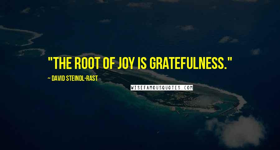 David Steindl-Rast Quotes: "The root of joy is gratefulness."