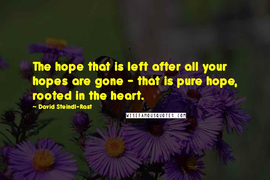 David Steindl-Rast Quotes: The hope that is left after all your hopes are gone - that is pure hope, rooted in the heart.