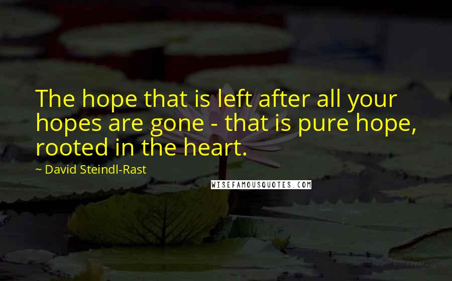 David Steindl-Rast Quotes: The hope that is left after all your hopes are gone - that is pure hope, rooted in the heart.