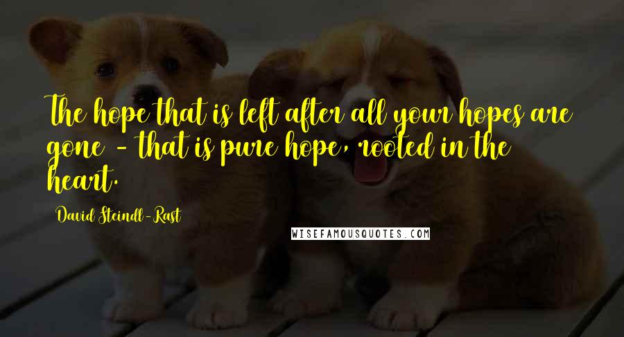 David Steindl-Rast Quotes: The hope that is left after all your hopes are gone - that is pure hope, rooted in the heart.