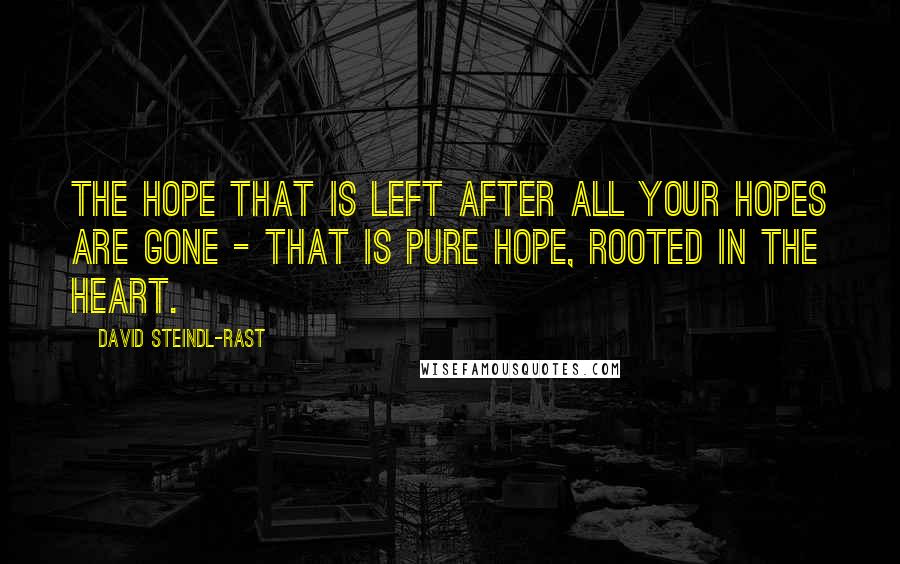 David Steindl-Rast Quotes: The hope that is left after all your hopes are gone - that is pure hope, rooted in the heart.