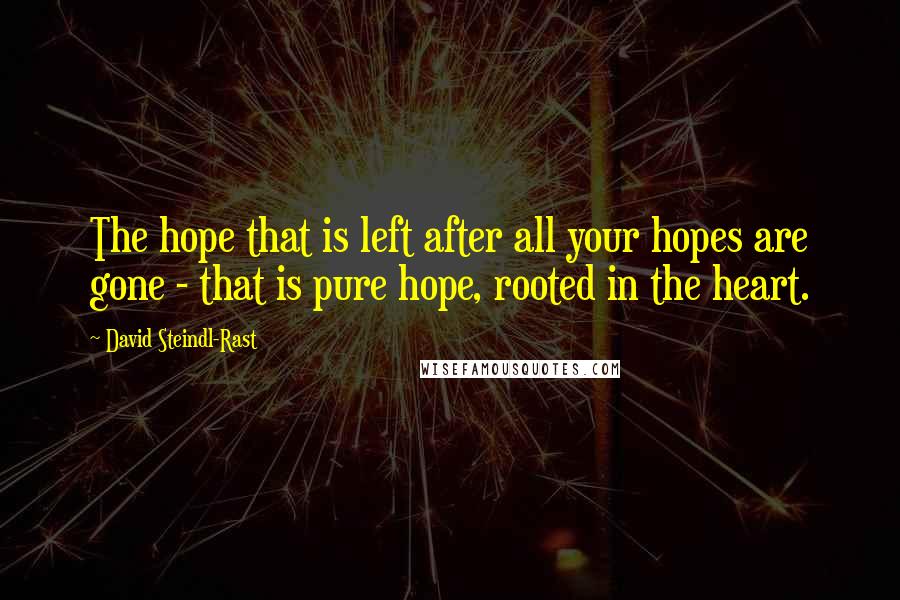 David Steindl-Rast Quotes: The hope that is left after all your hopes are gone - that is pure hope, rooted in the heart.