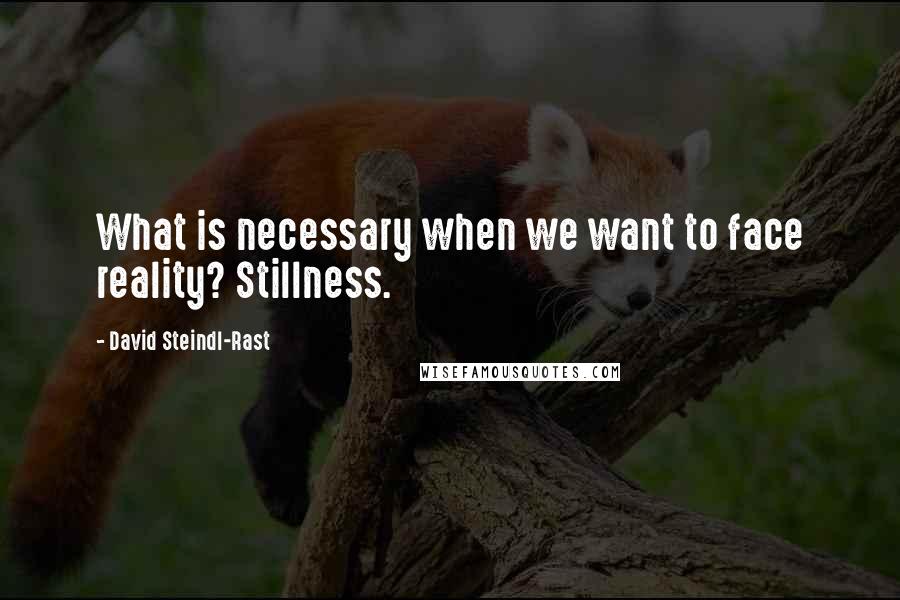 David Steindl-Rast Quotes: What is necessary when we want to face reality? Stillness.