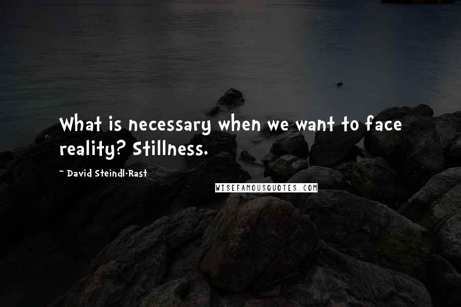 David Steindl-Rast Quotes: What is necessary when we want to face reality? Stillness.