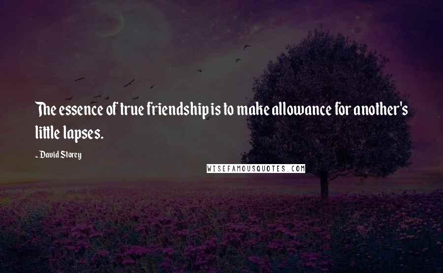 David Storey Quotes: The essence of true friendship is to make allowance for another's little lapses.