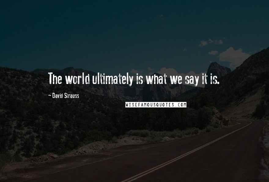 David Strauss Quotes: The world ultimately is what we say it is.