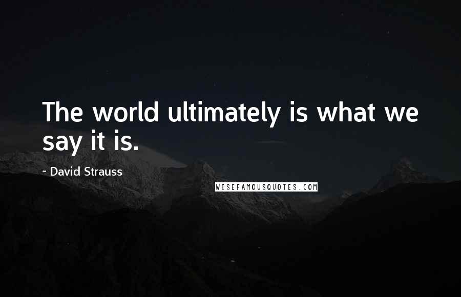 David Strauss Quotes: The world ultimately is what we say it is.