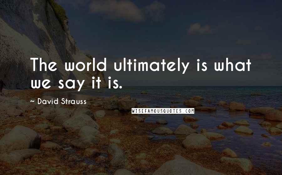 David Strauss Quotes: The world ultimately is what we say it is.