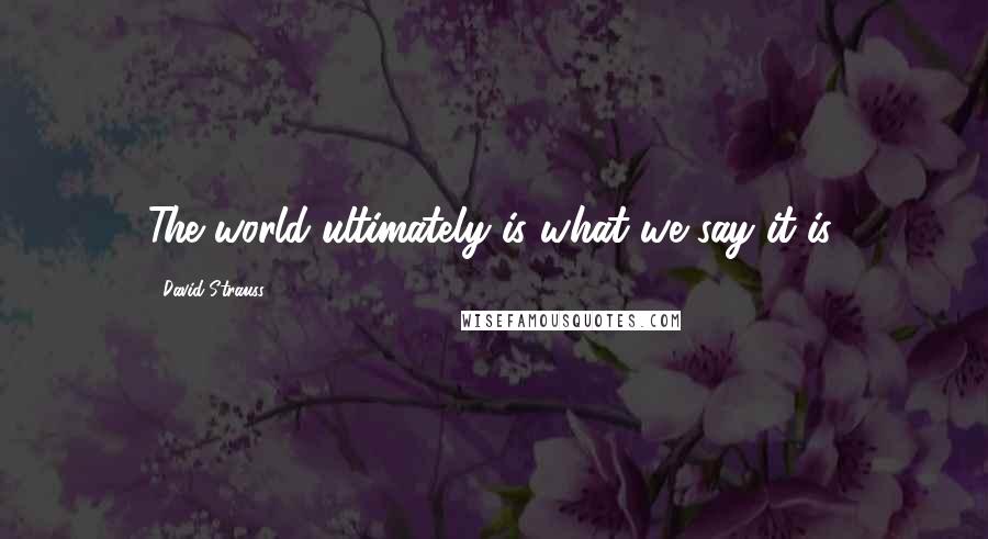 David Strauss Quotes: The world ultimately is what we say it is.