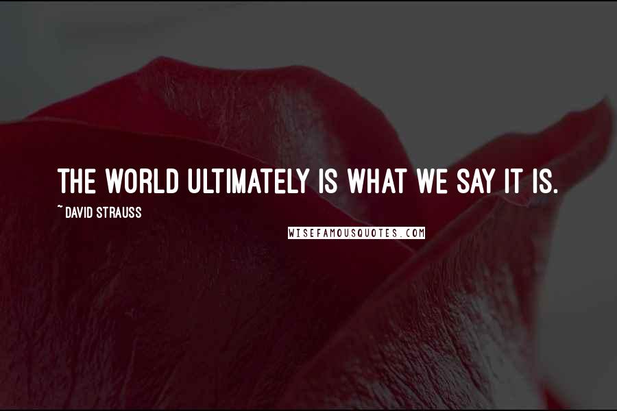 David Strauss Quotes: The world ultimately is what we say it is.