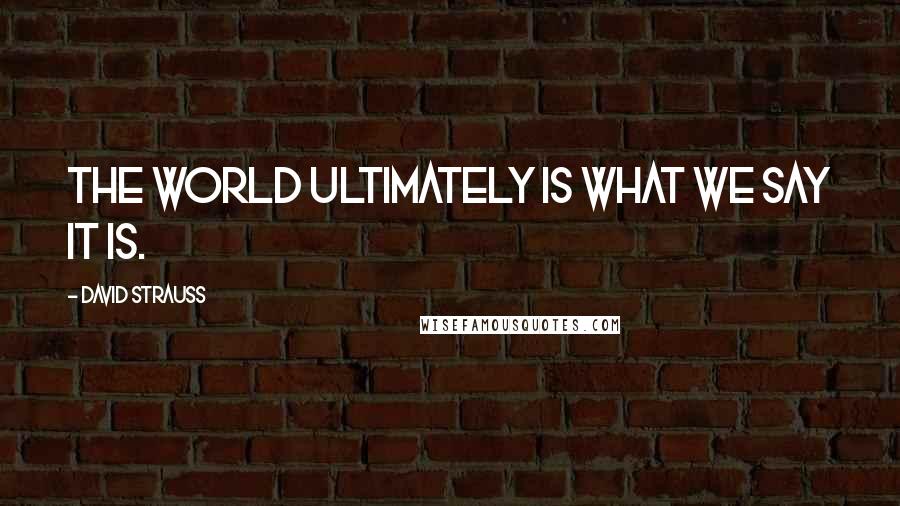 David Strauss Quotes: The world ultimately is what we say it is.