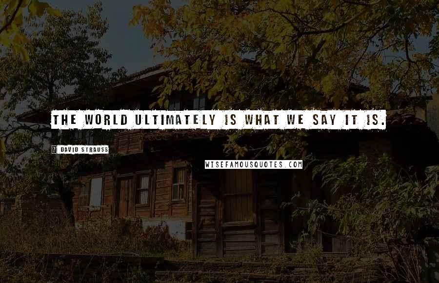 David Strauss Quotes: The world ultimately is what we say it is.