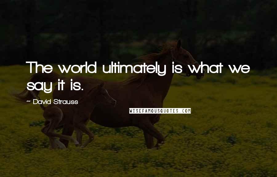 David Strauss Quotes: The world ultimately is what we say it is.