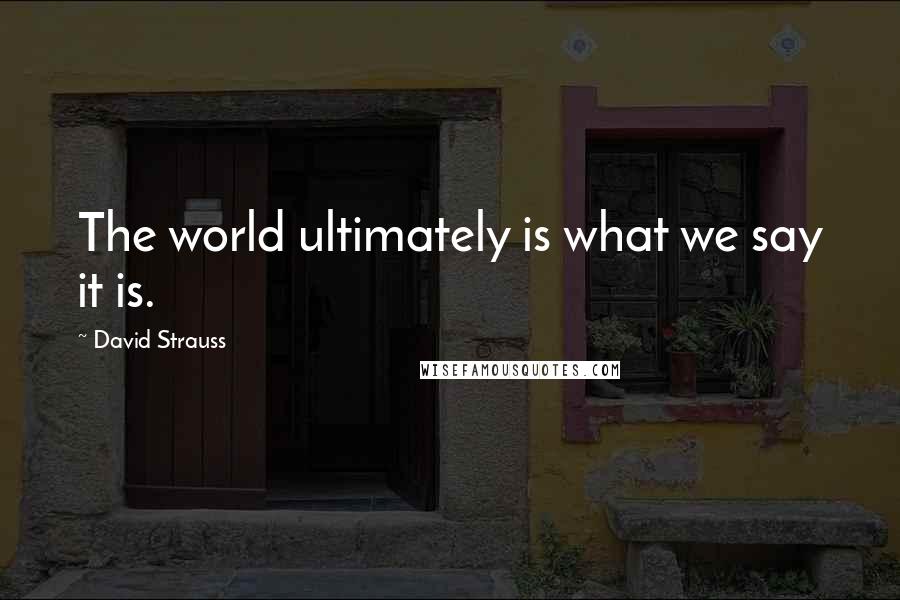 David Strauss Quotes: The world ultimately is what we say it is.