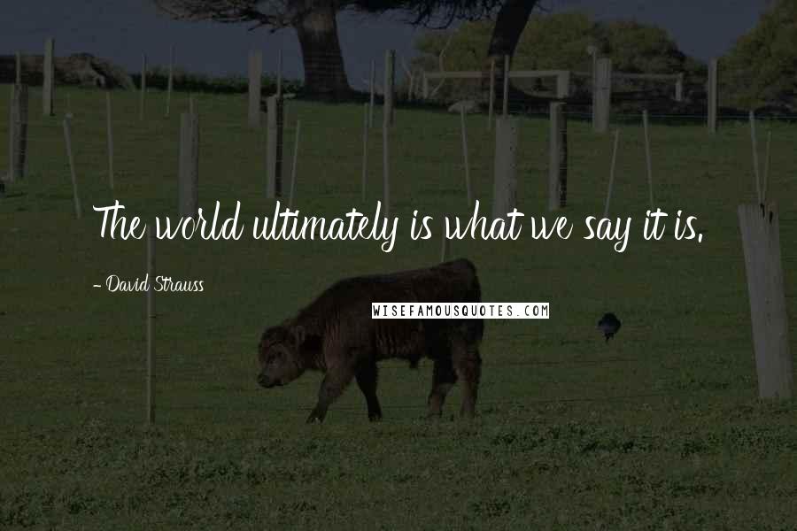 David Strauss Quotes: The world ultimately is what we say it is.