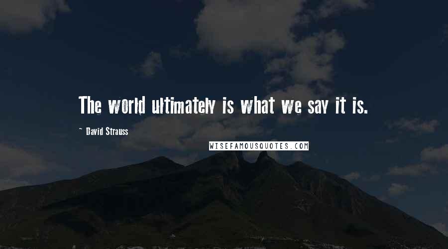 David Strauss Quotes: The world ultimately is what we say it is.