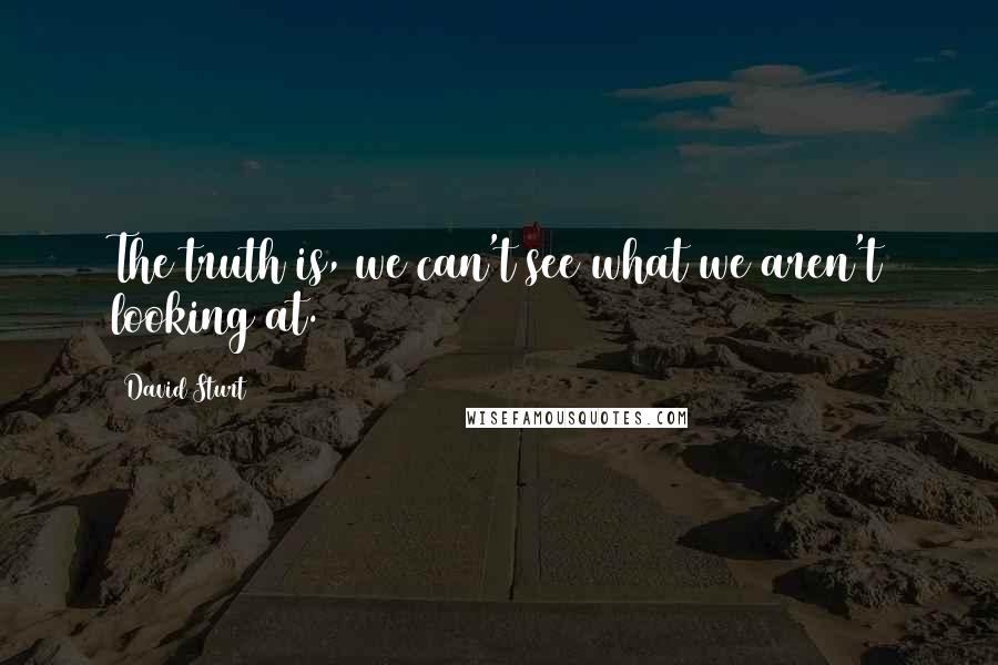 David Sturt Quotes: The truth is, we can't see what we aren't looking at.