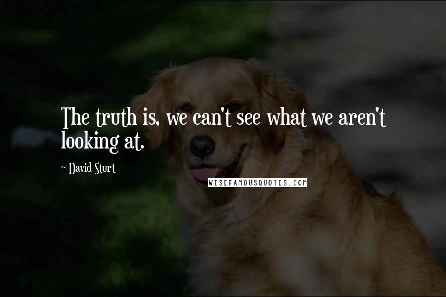 David Sturt Quotes: The truth is, we can't see what we aren't looking at.